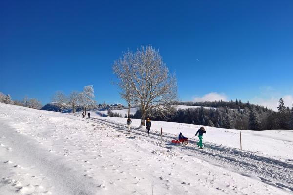 Alpenpanorama über dem Nebelmeer