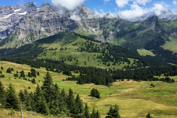 Dans les Alpes vaudoises