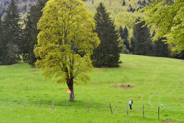 Des hauteurs jurassiennes variées 