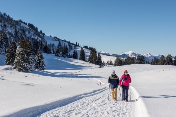 Un air d’Arctique dans le Toggenbourg