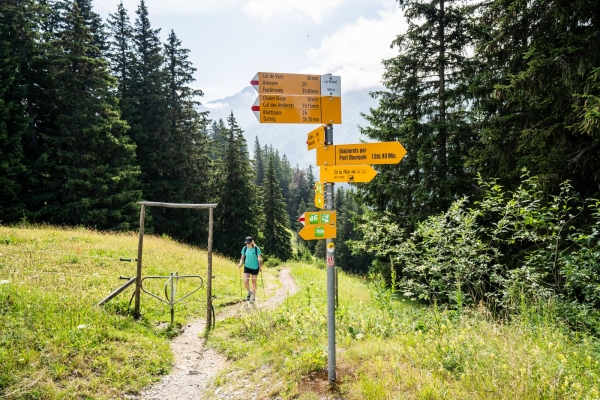 Wanderung vom Col du Pillon an den Arnensee