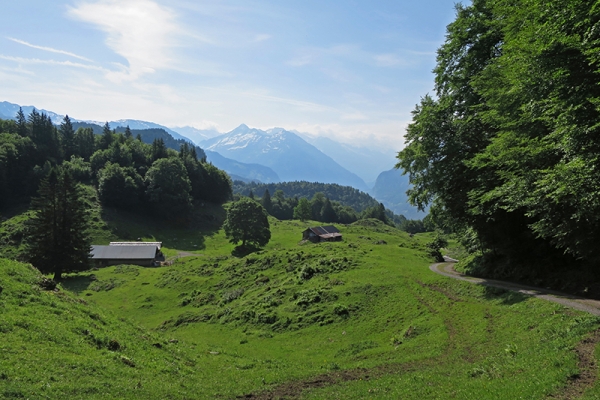 Dem Brünig entgegen 3