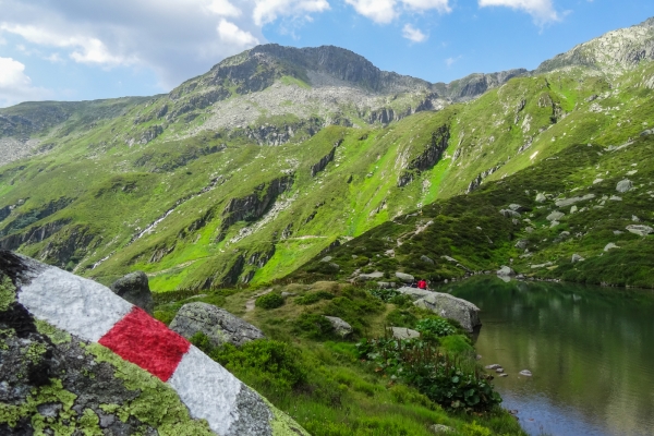 Vues splendides au-dessus de Disentis 