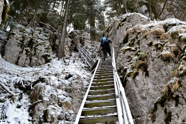 Abwechslungsreiche Jurahöhen