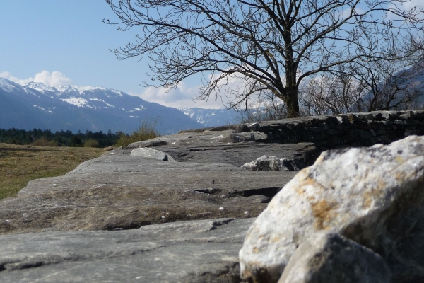 Auf dem Weinwanderweg unterwegs durchs Rheintal