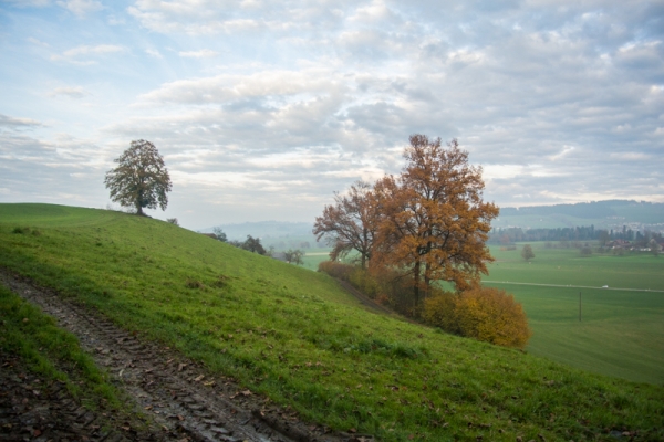 Au crépuscule dans l’arrière-pays