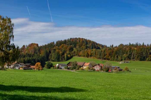 Um dä Haselberg