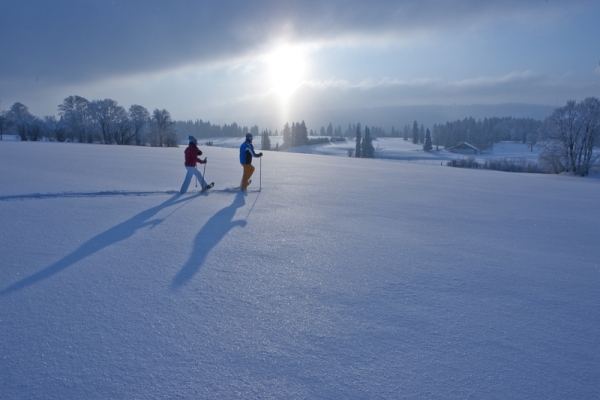 Sur le haut-plateau jurassien