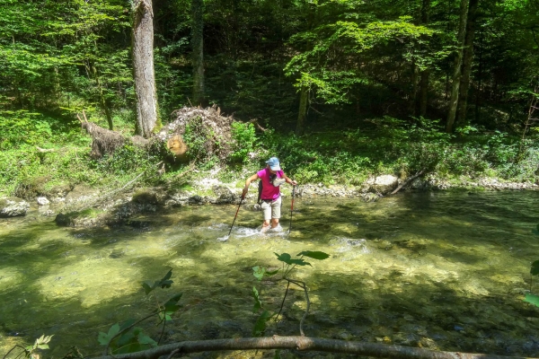 Fraîcheur et ombrage dans le Jura