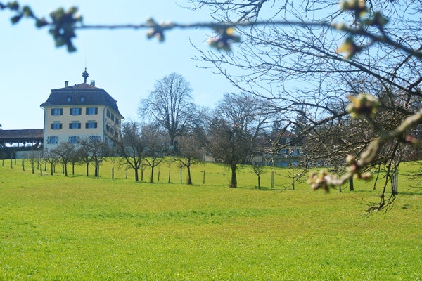 Domaine de Louis Napoléon I