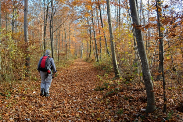 Durch das herbstliche Homburgtal 