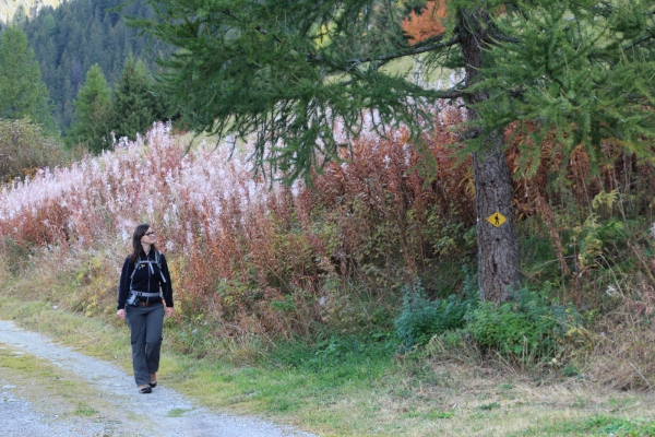 Pèlerinage dans le val d’Entremont