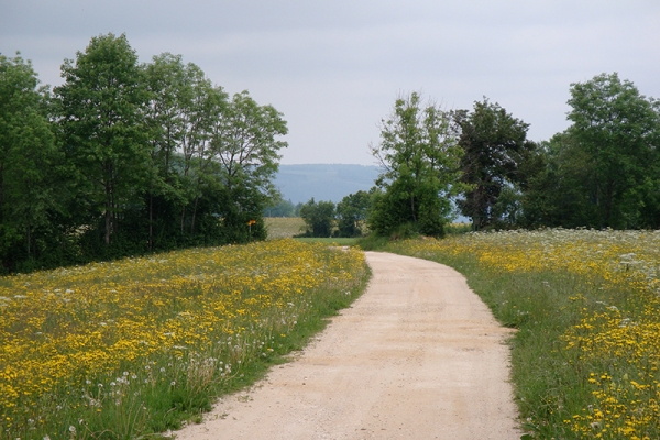 Auf dem Hügelzug zum Doubs