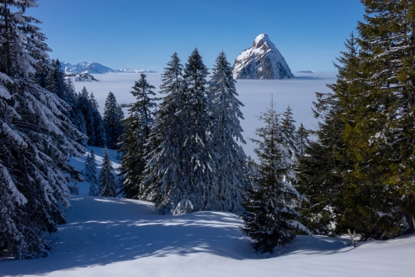 Schneeschuhwanderung - Furggelenstock SZ