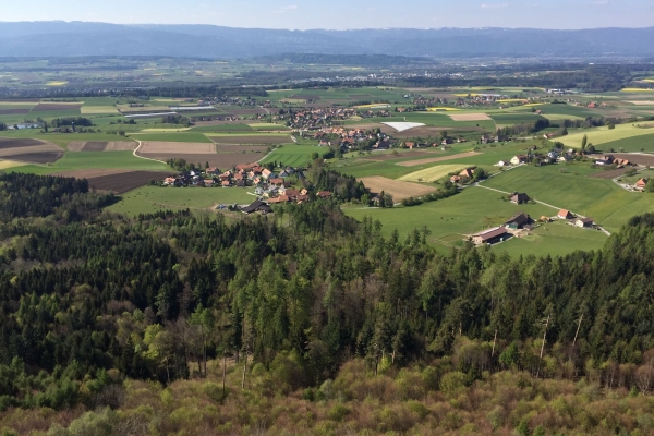 Frienisberg 