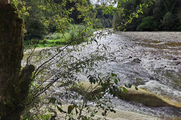 Bärzelitagwanderung