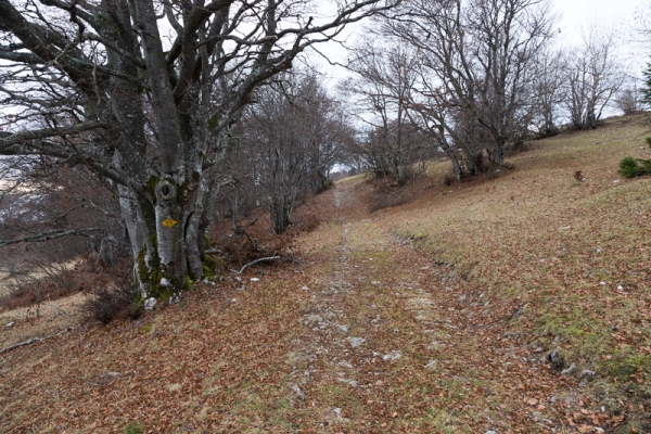 Par le Mont Sujet et les gorges de Douanne