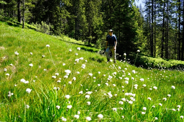 Dans l’ouest sauvage de Lucerne