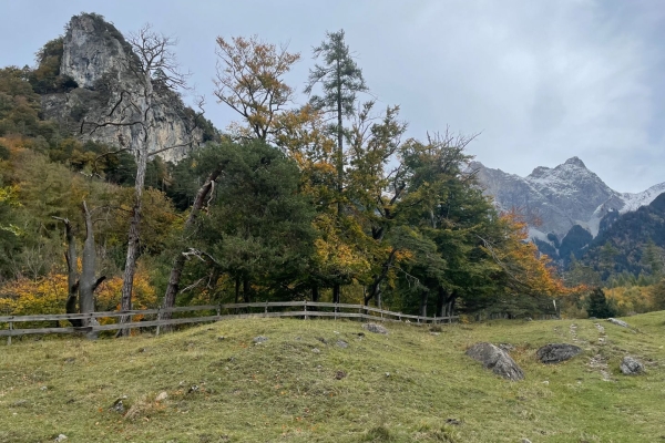 Feurige Herbstwanderung in Liechtenstein mit Aussicht aufs Rheintal