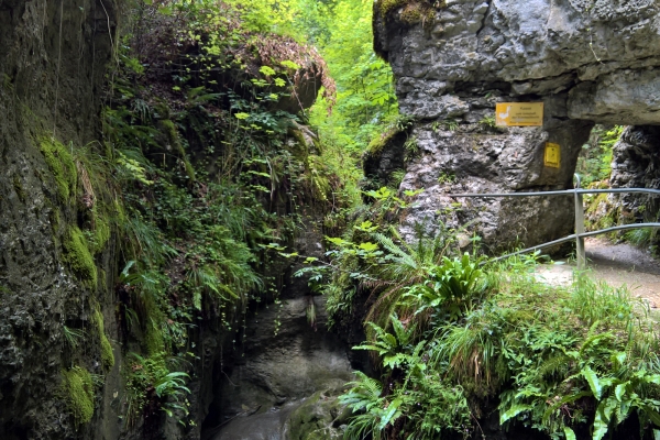 Boucle de randonnée dans le Jura soleurois