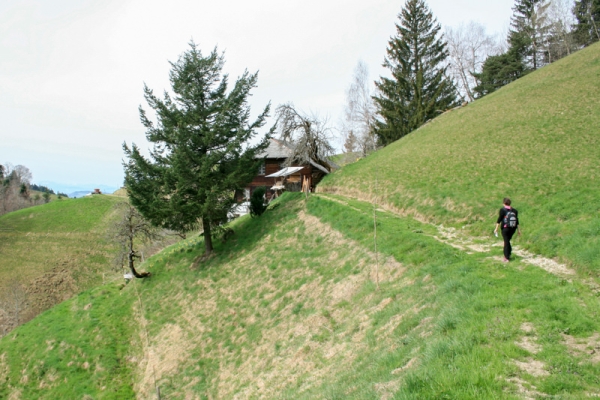 Höhenwanderung im Emmental