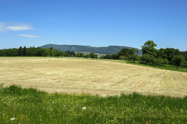 Joyau sur le Wannenberg 