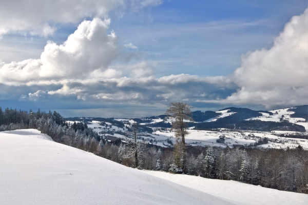 Tour en raquettes au Mont Pèlerin