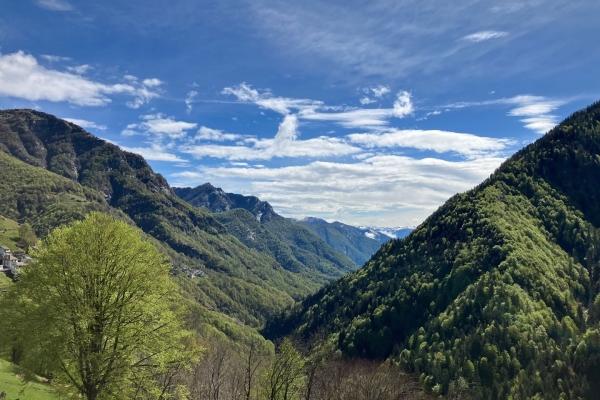 Randonnée dans la Vallée Onsernone: forêts et ruines tessinoises