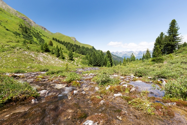 Eau vive près du Piz Ela