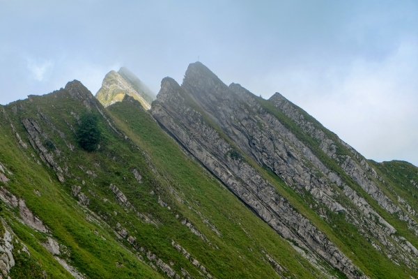 Vers l’alpage de L’Urqui (FR)