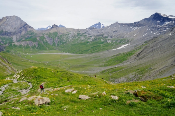 Entre pâturages verdoyants et roches grises