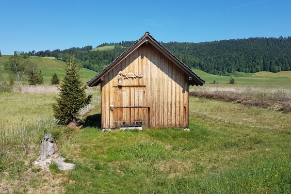 Un haut-marais et une abbaye