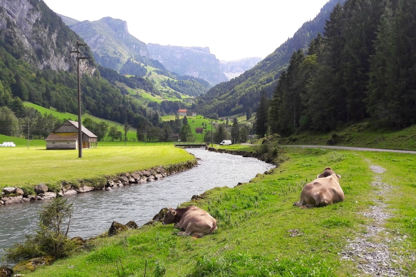 Les rives du Bisistal