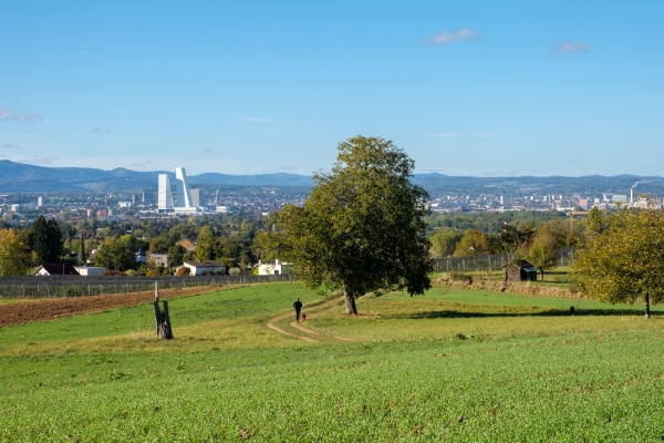 Randonnée dans l’Eiserne Hand, près de Bâle