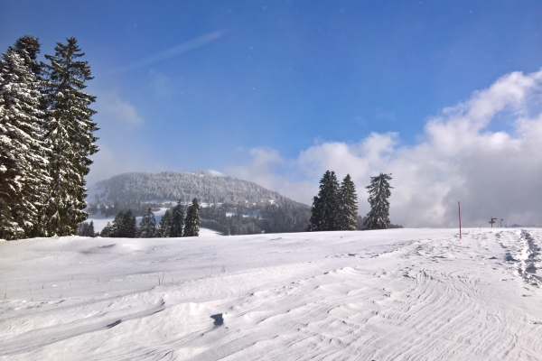 Auf der Hochebene am Col des Etroits