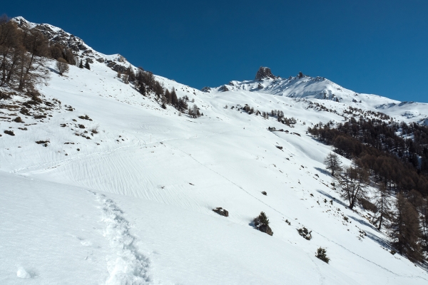 En raquettes dans le val d’Hérens