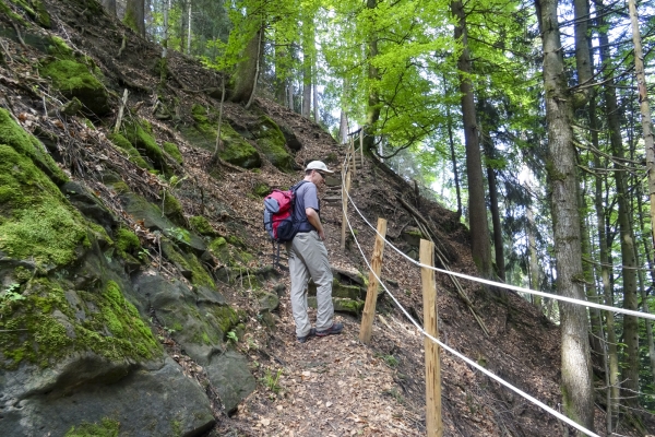 De belles vues dans les Préalpes fribourgeoises