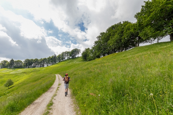 Sur le sentier frontalier du Napf 1