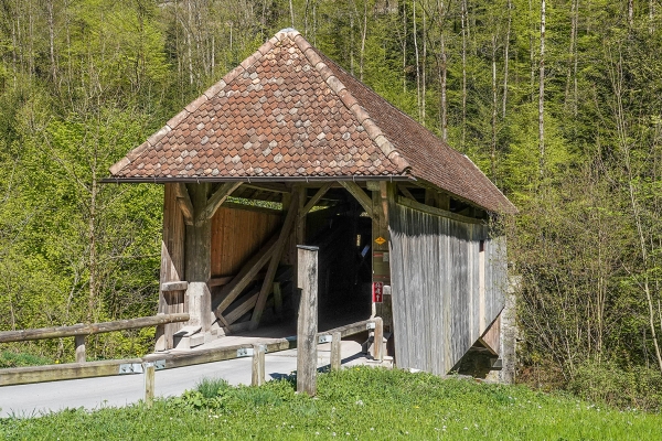 Les rives du Bisistal