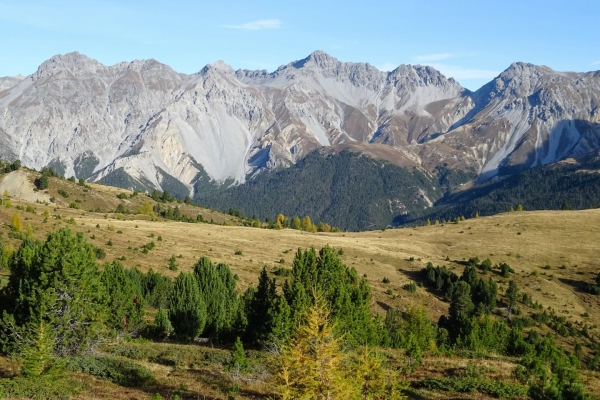 Sur le Munt la Schera dans le Parc national suisse