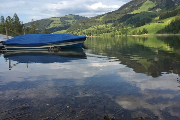 Und am Ende lockt der See