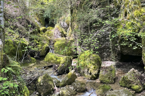 Douceur printanière et belles vues au Rigi