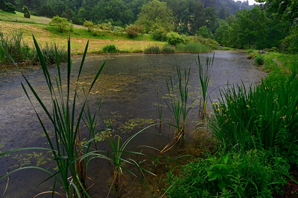 Lungo il selvaggio fiume Aubonne