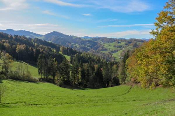 Säntisblick über dem Neckertal