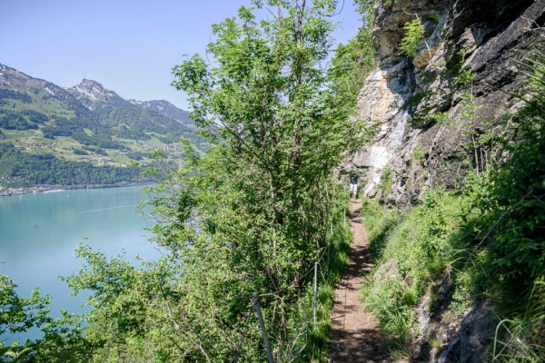 Randonnée aux chutes du Seerenbach