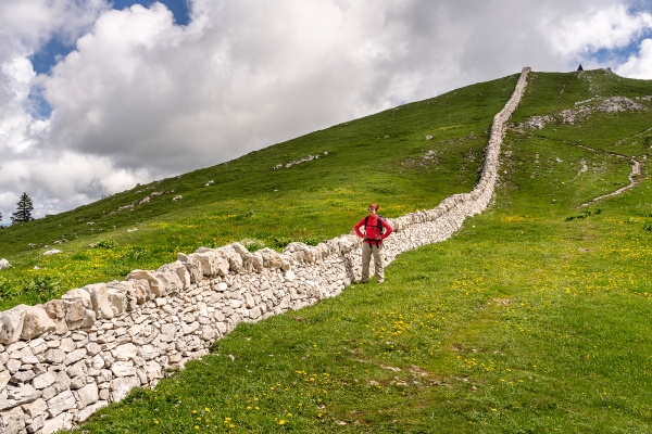 Les murs en pierres sèches du Mont Tendre