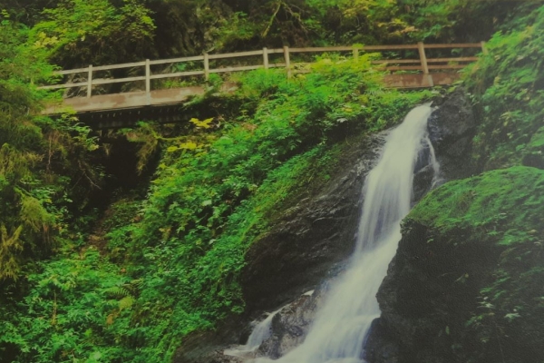 Schwarzwald: Rötenbach- und Wutachschlucht