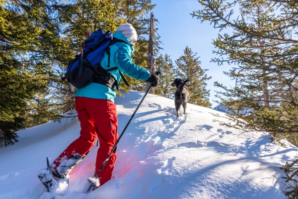 Schneeschuhtraum auf Gitschenen UR