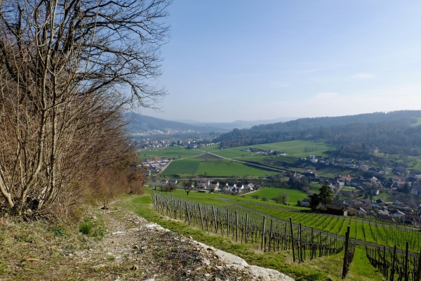 Gemütliche Wanderung durch den Regionalpark Aargau