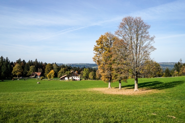 Im Jura zwischen Sonvilier und Le Noirmont